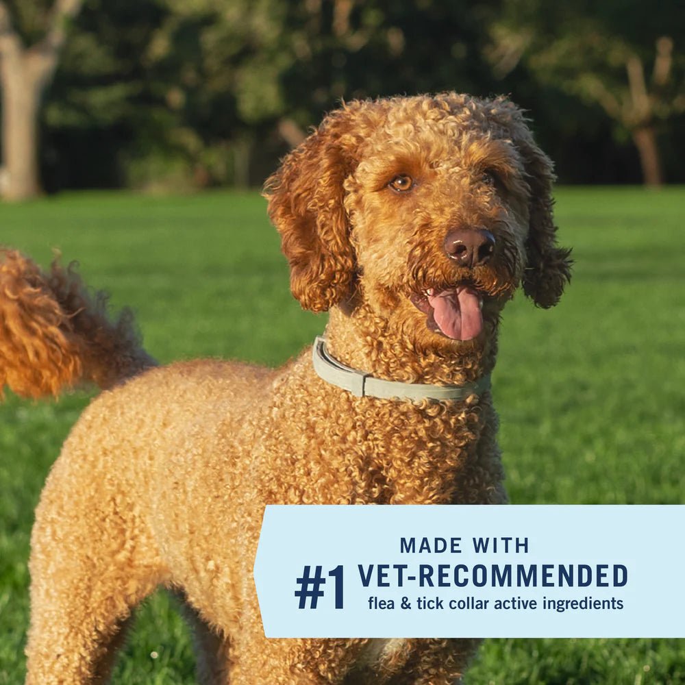 PawShield™ Flea & Tick Collar